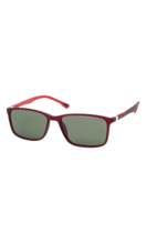 Polarized sunglasses FESTINA EYEWEAR Black/Red FES002/1