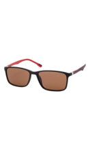 Polarized sunglasses FESTINA EYEWEAR Black/Red FES002/3