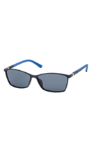 Polarized sunglasses FESTINA EYEWEAR Black/Blue FES004/2