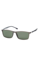 Sunglasses FESTINA EYEWEAR Grey FES006/2