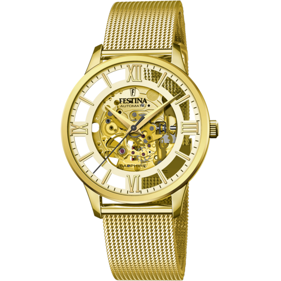 ⌛ Reloj festina F20513/2 de hombre en acero con dorado y esfera