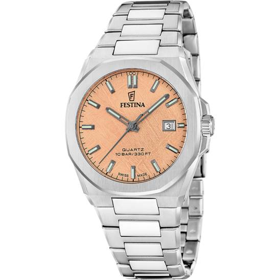 Reloj Festina Swiss Made Classic Steel F20100/6 Marrón Hombre