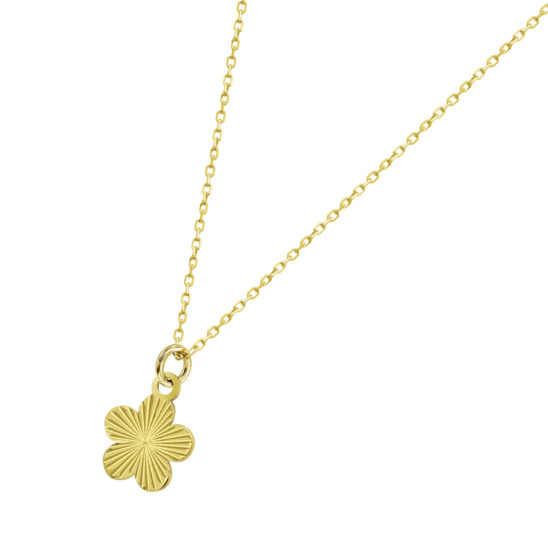 Flor Time Road Hin00479/45 Oro, Mujer