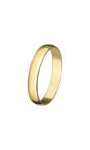 TIME ROAD UNISEX 18K GOLD TRAURING AY18003/33